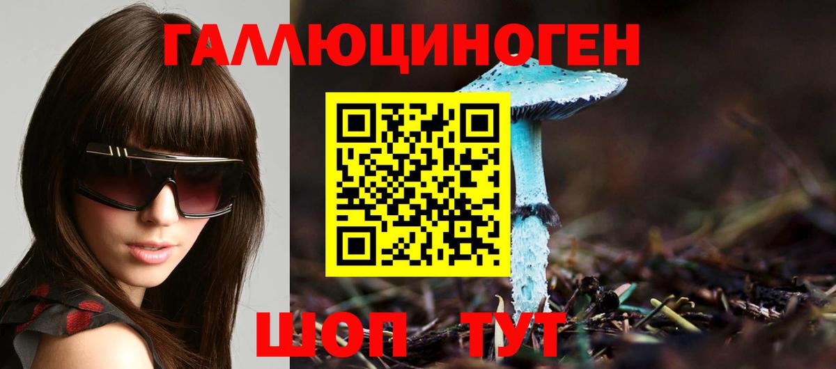 Псилоцибиновые грибы GOLDEN TEACHER  Вход с VPN  Назрань  Галлюциногенные грибы мицелий 